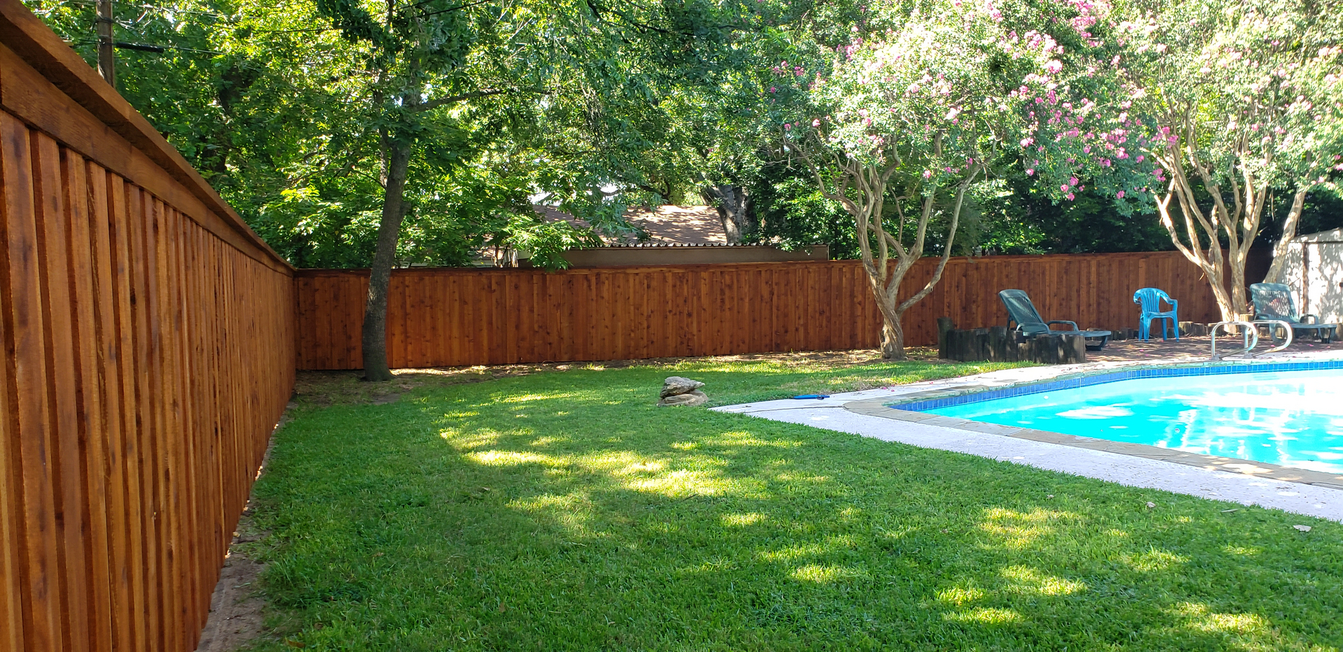 A dog laying in the grass next to a pool.