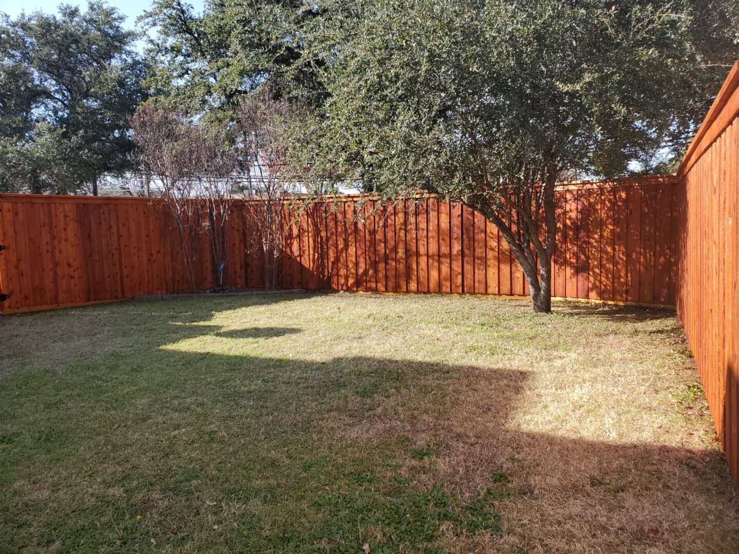 Cedar wood fence