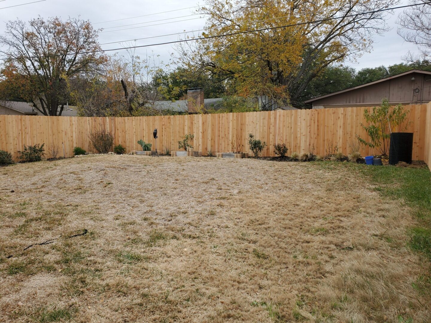 A fenced in yard with dirt and trees.