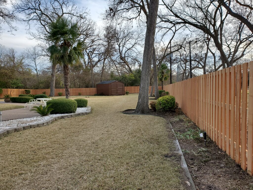 A backyard with trees and bushes in the background.